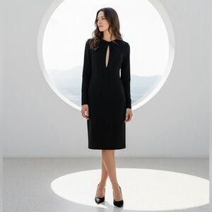 Anine Bing Black Long-Sleeve Keyhole Amaya Mini Dress